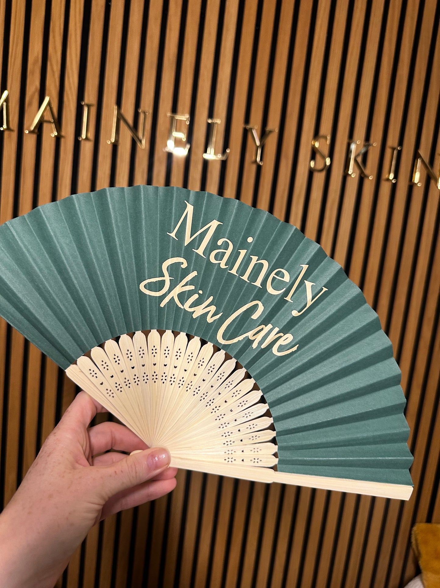 Folding Hand Fan